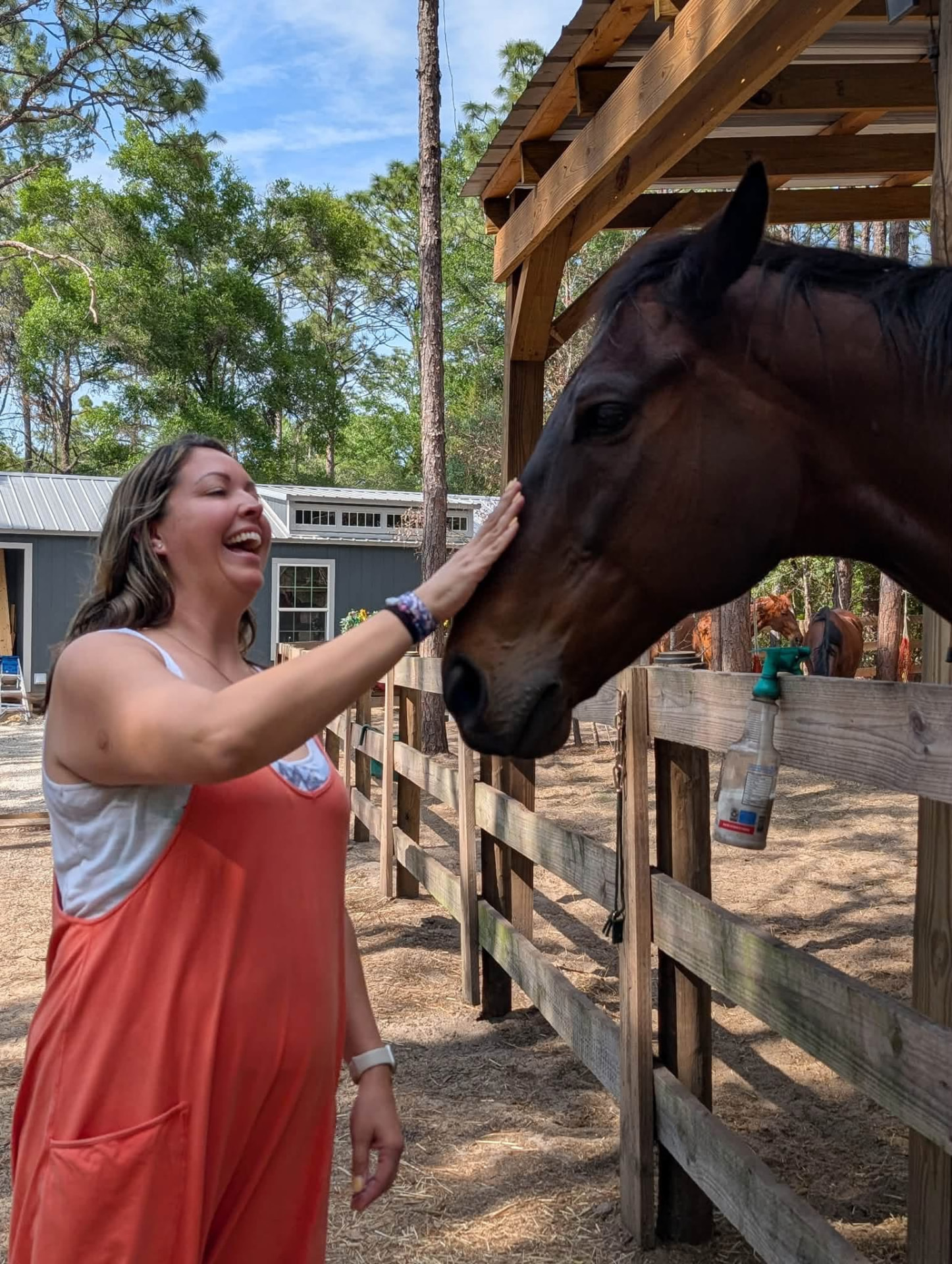 Meeting the horses at the fence