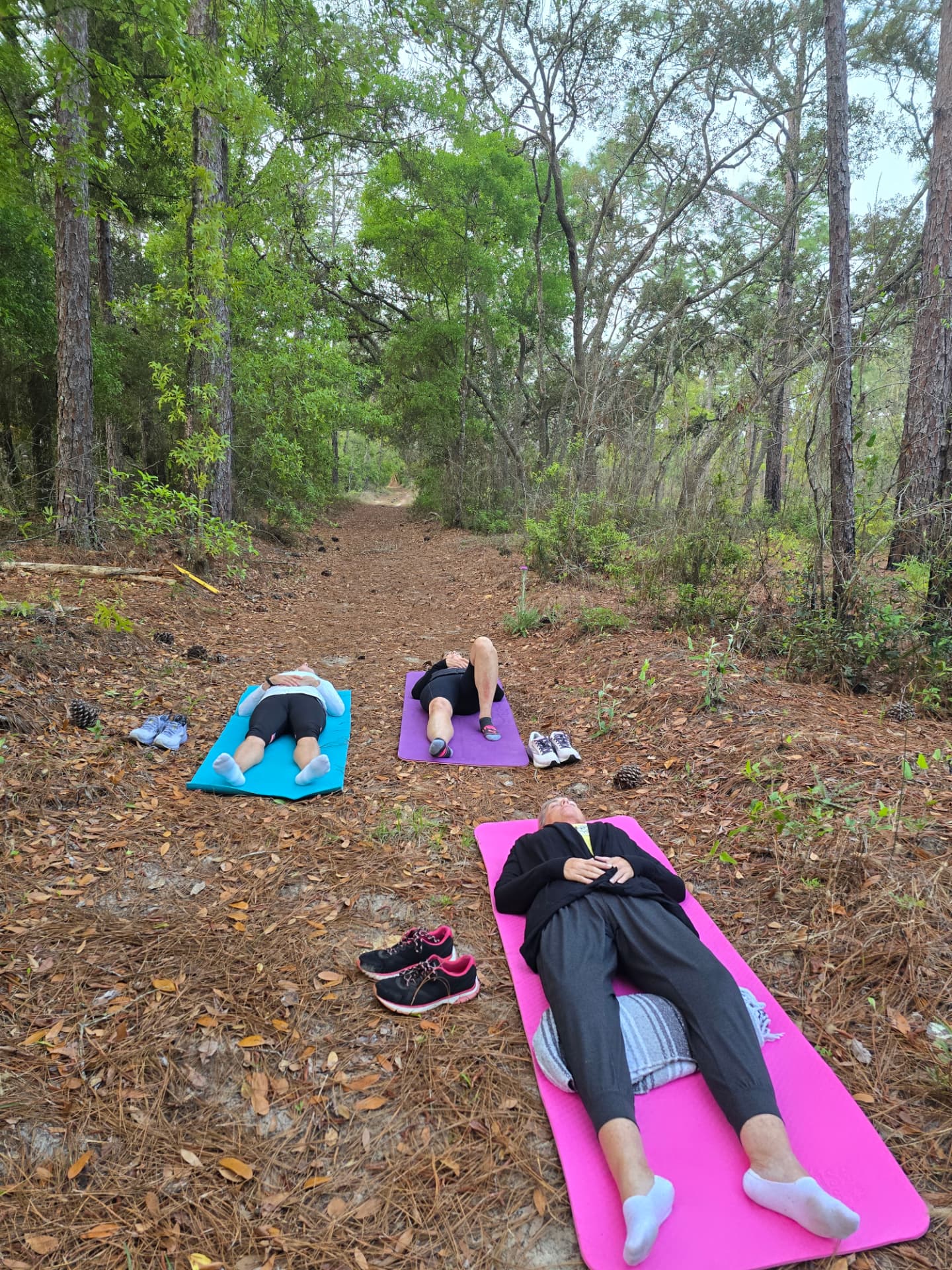 Forest bathing on the trail at Full Circle Retreats