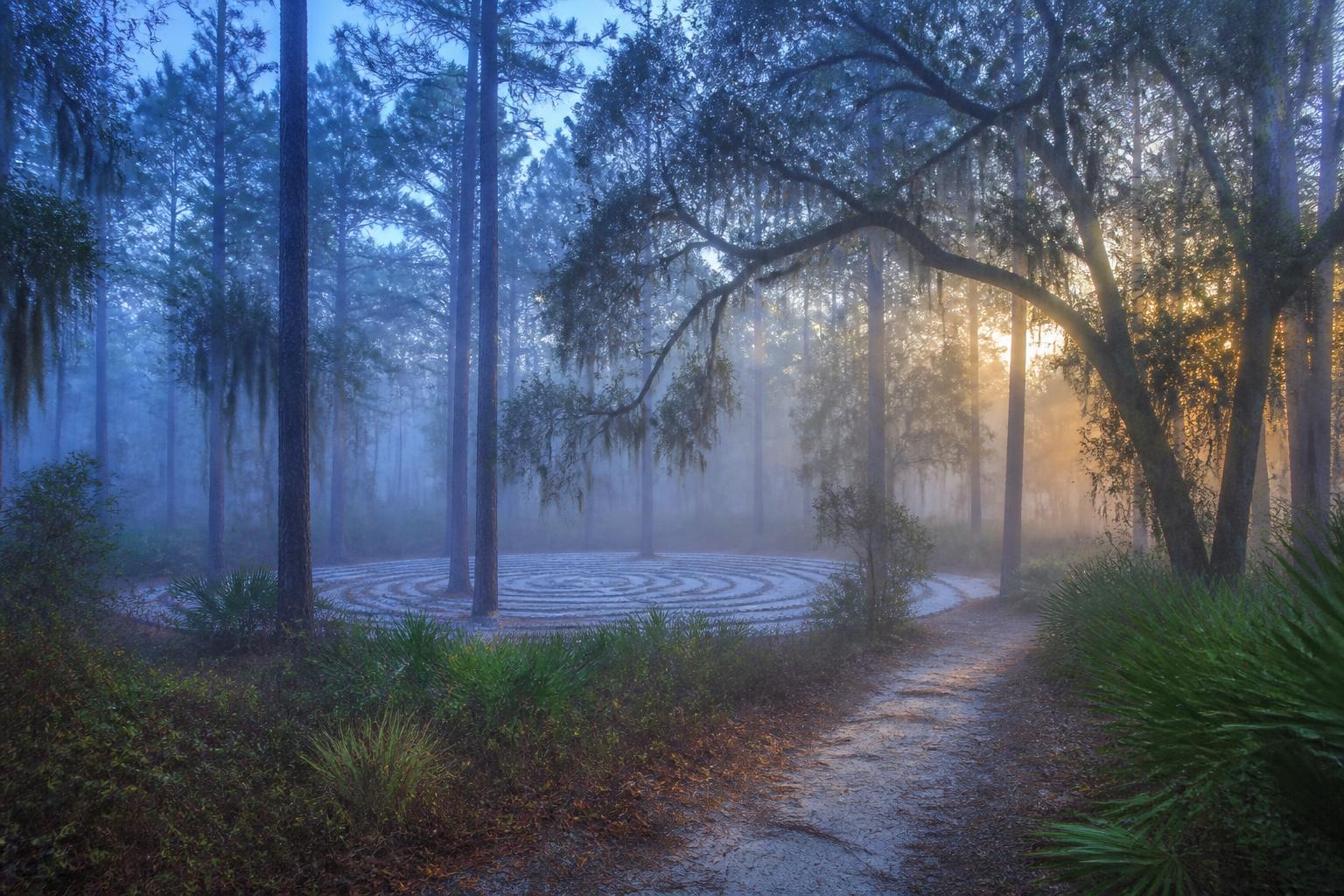 A misty forest path leading toward a stone labyrinth